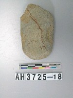 藏品(磨製石錛)的圖片